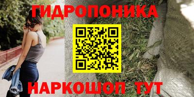 ECSTASY Кинель