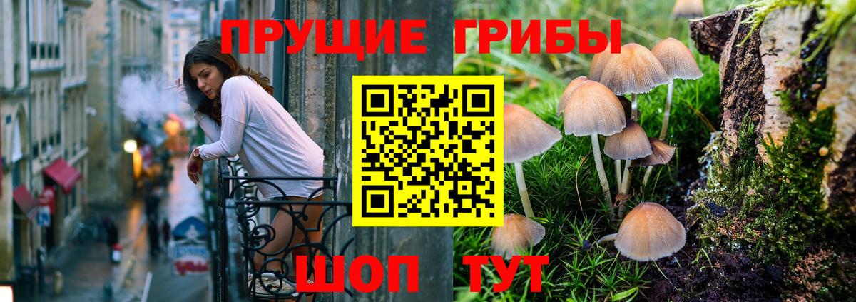 Псилоцибиновые грибы GOLDEN TEACHER  Вход с VPN  Кропоткин 