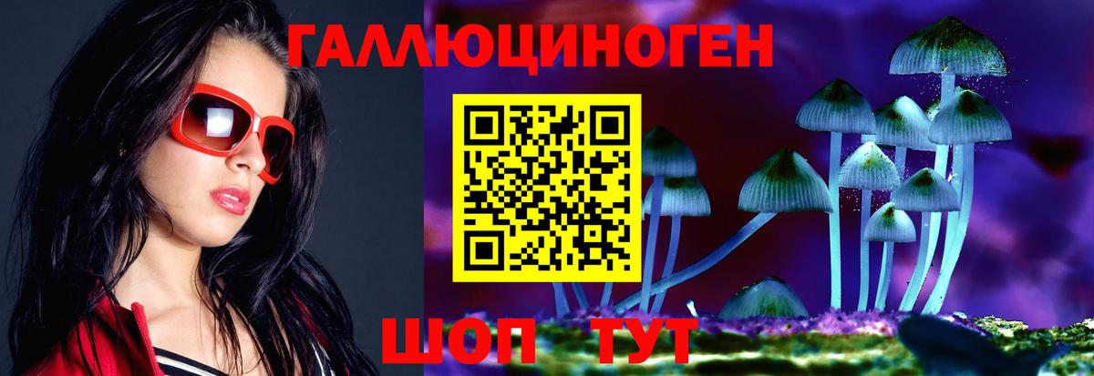 Псилоцибиновые грибы Psilocybine cubensis Кропоткин